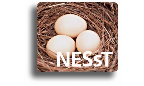 NESsT