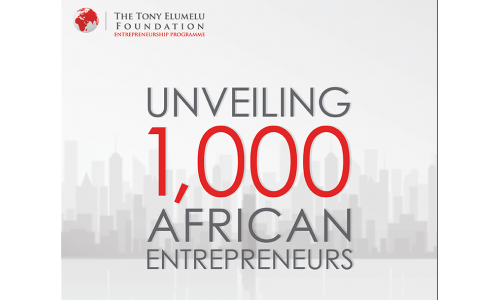 Tony Elumelu Entrepreneurship Programme