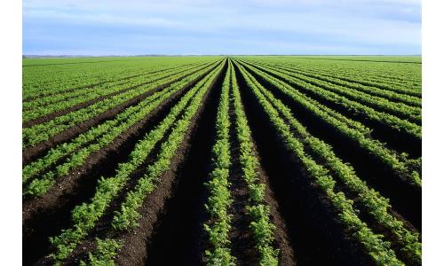 USAID/GHANA Agriculture and Resource Management Program