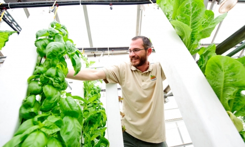 The ZipFarm Indoor Vertical Farm